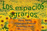 Los espacios agrarios de España  Tendencias, Problemas Y Soluciones