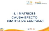 3.1 matrices causa efecto matriz de leopold