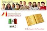 Amarillas internet México oportunidad de negocio en internet