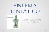 Sistema linfático f