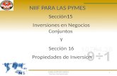 Sección 15 y 16: Inversiones en Negocios Conjuntos / Propiedades de Inversion