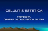 Celulitis  Estetica