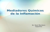 Clase mediadores quimicos de la inflamacion