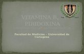 VITAMINA B6 - PIRIDOXINA