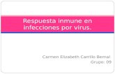 11.respuesta inmune en infecciones por virus