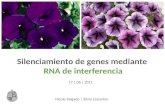 Silenciamiento de genes mediante rna de interferencia