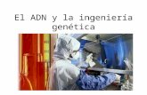 16 el adn y la ingeniería genética