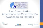 3er Curso Latino Americano de Cicatrizaci³n Avanzada en Heridas (III)