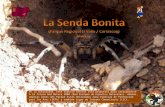 La Senda Bonita (Murcia).