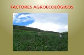Factores agroecologicos clima