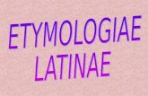 Etimoloxías Latinas