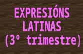 ExpresióNs Latinas 3º Trimestre