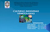 Culturas indigenas de venezuela