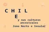 Pueblos originarios-de-chile-zona-norte