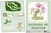Catalogo plantas