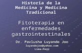 Fitoterapia en enfermedades Gastorintestinales