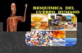 Bioquimica  del       cuerpo  humano
