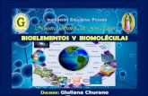 Bioelementos  y  biomoléculas  inorgánicas