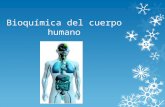 Bioquímica del cuerpo humano