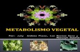 Metabolismo vegetal[1]