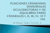 Funciones craneanas sensoriales oculomotoras y de equilibrio pares (1)