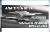 Anatomia del alma, seminario dictado en junio 23 2013
