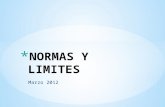 Normas y-limites-ppt