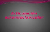 Articulación acromioclavicular