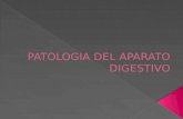 Patologia Del Aparato Digestivo Parte I