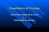 Propedéutica de urologia