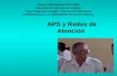 APS - Teórico 2011