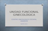 Unidad funcional ginecologica