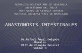 Seminario anastomosis intestinales