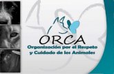 Fundación ORCA - Presentación