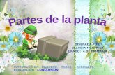 Webquest PARTES DE LA PLANTA
