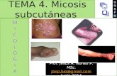 Clase 4. micosis subcutaneas1