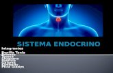 Sistema Endocrino Funciones y tipos de Glandulas