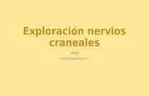 Exploración nervios craneales