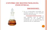Biodiesel produccion en planta