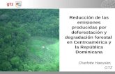 Reducción de las emisiones producidas por deforestación y degradación forestal en Centroamérica y la República Dominicana