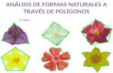 Análisis de formas naturales a través de polígonos