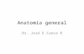 Anatomia general, introduccion a la anatomia uasd ppt