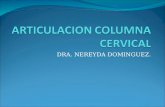 Articulacion columna cervical