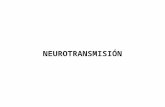 2. neurotransmisión