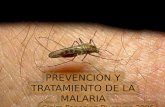 Malaria Final Exposicion