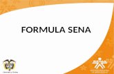 Presentacion proyecto formula sena