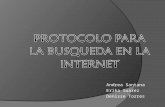 Protocolo tecnico para busquedad en la internet