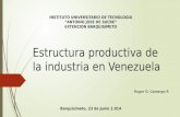 Estructura productiva de la industria en venezuela
