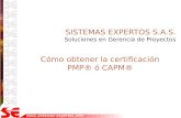 PMP ó CAPM - requisitos de certificación