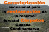 Caracterización Florística para la Restauración de la Reserva Forestal Cárpatos